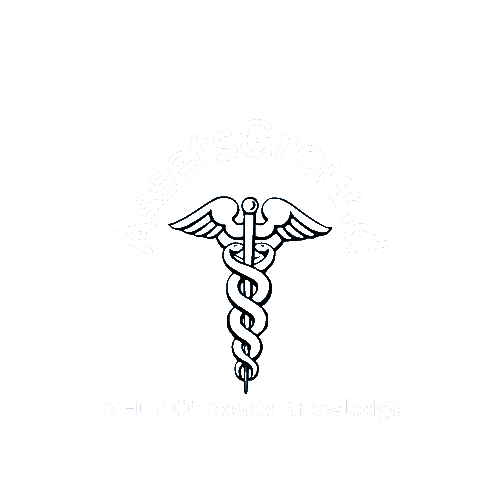 Assets Ground