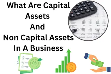 What Are Capital Assets And Non-Capital Assets In A Business