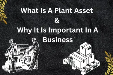 What Is A Plant Asset