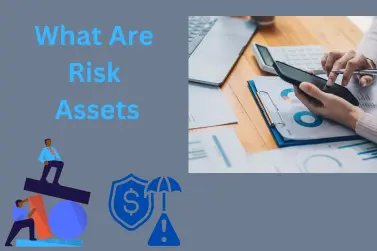 What Are Risk Assets