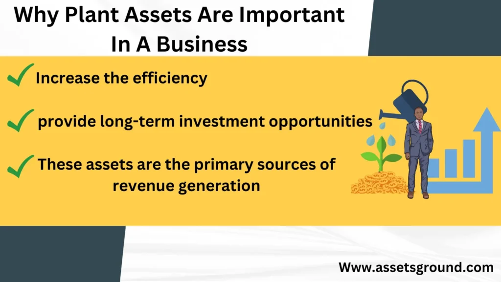 importance of plant assets